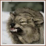 darkwolfbrdr.jpg